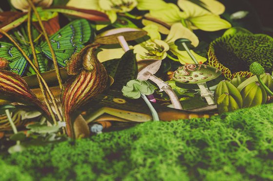 Botanical Thoughts: Millpond