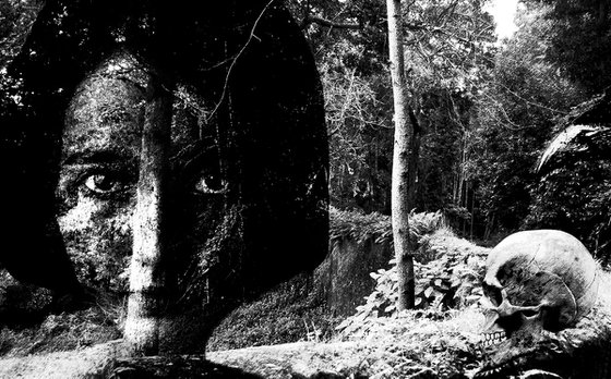 Road in the Deep Forest