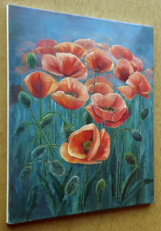 Poppies