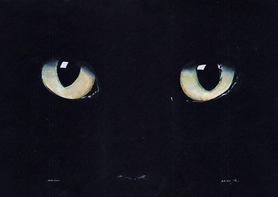 Black cat by night
