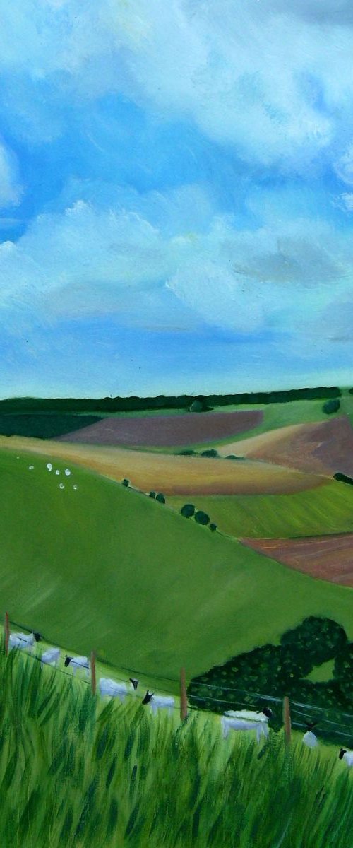 South Downs in Summer by Mary Stubberfield