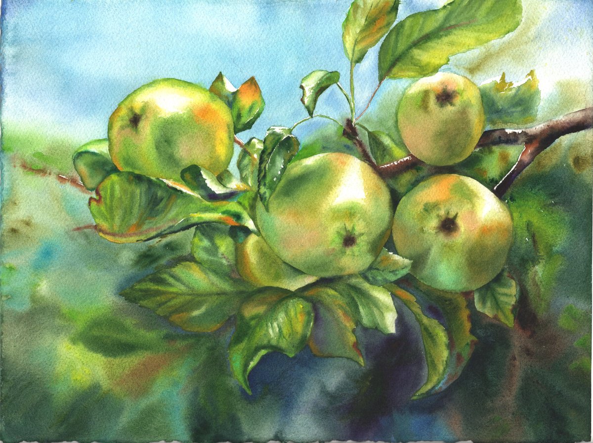 Expressive Watercolour , Green Apples On The Branch By Maryna Boiko, 15 X 11, Artwork For Sale On Artfinder