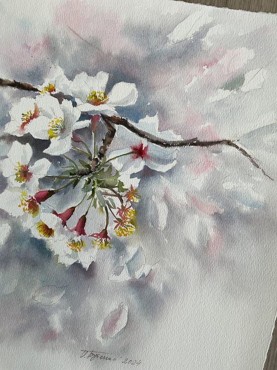 Whisper of petals, blossoms, apples