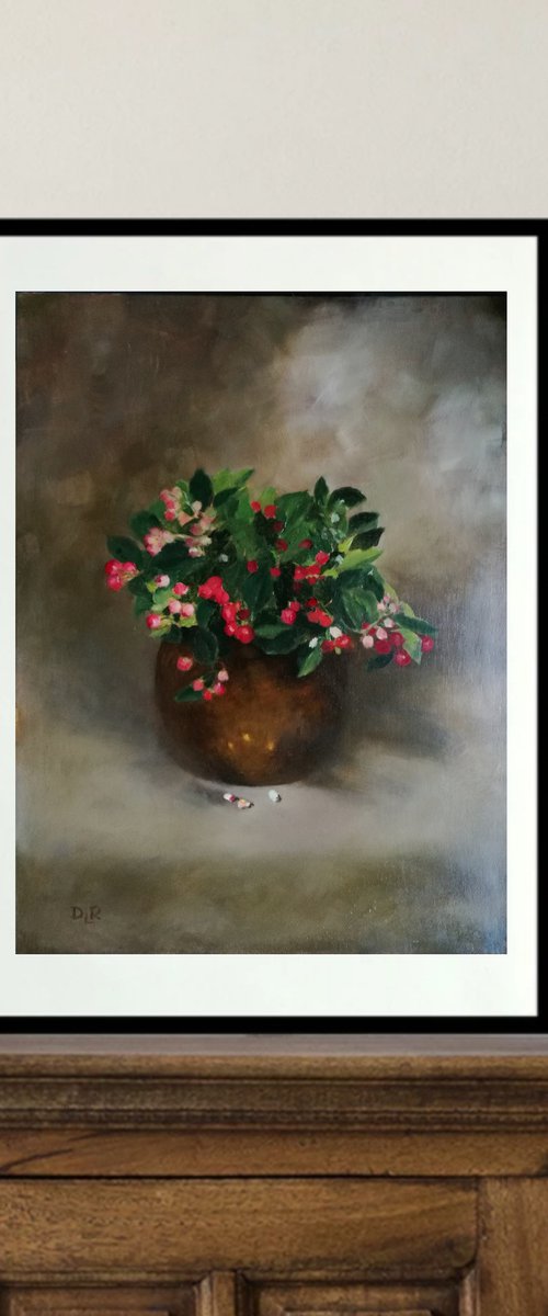 Signs of Christmas by Daniela Roughsedge