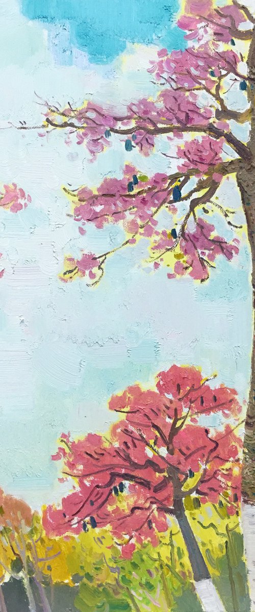 Spring 257 by jianzhe chon