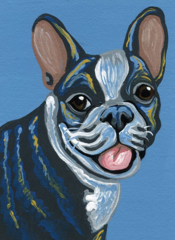 ACEO ATC Original Miniature Painting Blue French Bulldog Pet Dog Art-Carla Smale