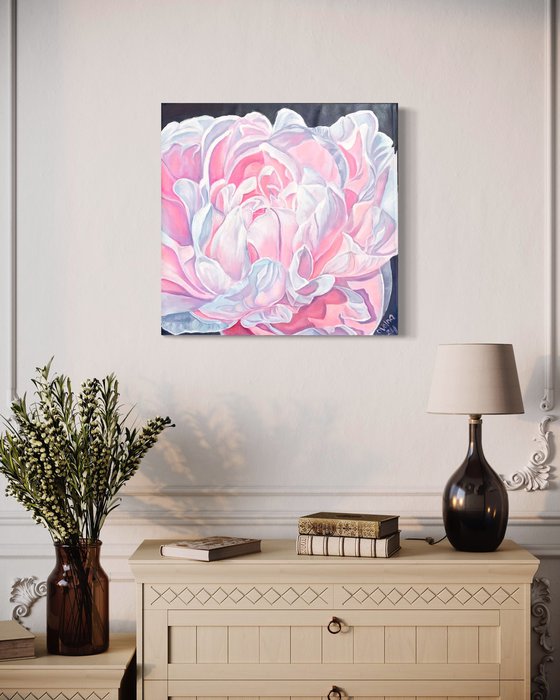 Pink peony