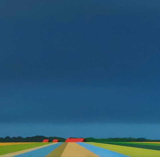 Colorful Fields (3)