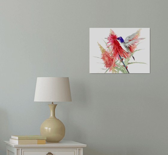 Violet-Crowned Hummingbird