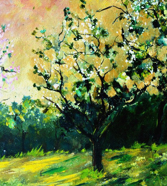 Orchard in Spring 4522