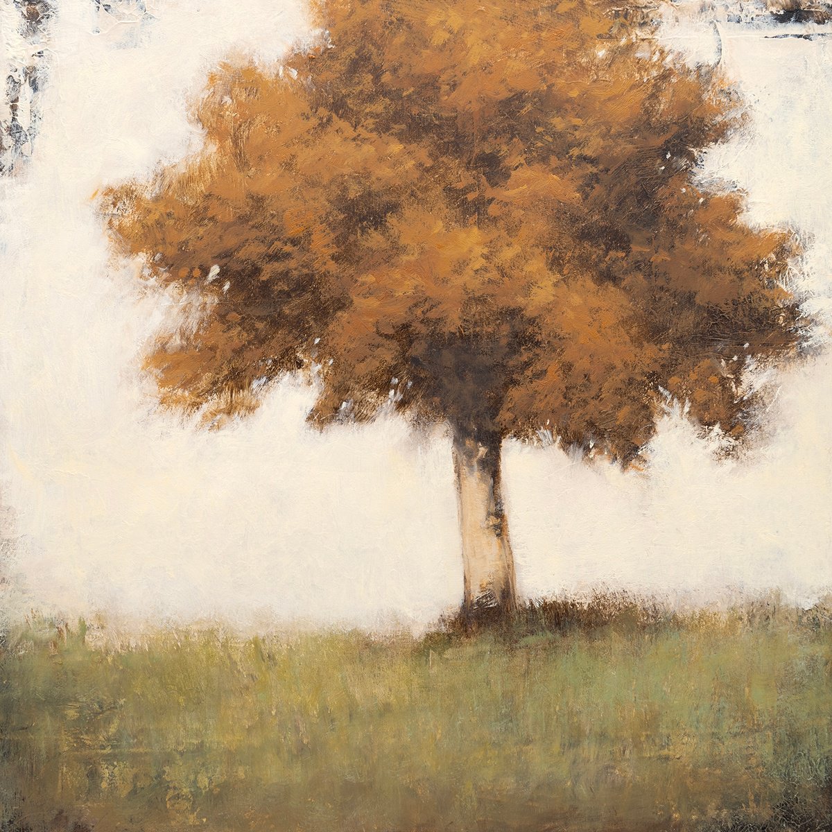 Zen Tree 24 260304 By Don Bishop, 12 X 12, Artwork For Sale On Artfinder