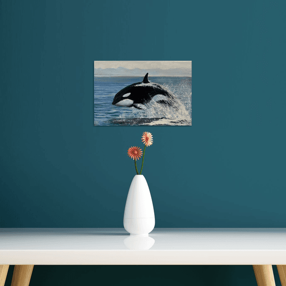 Orca’s Jump