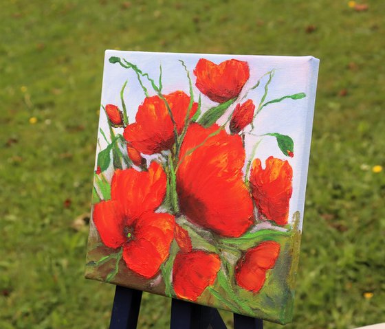 Red poppies flowers