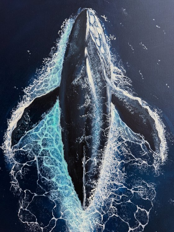 Following the Deep