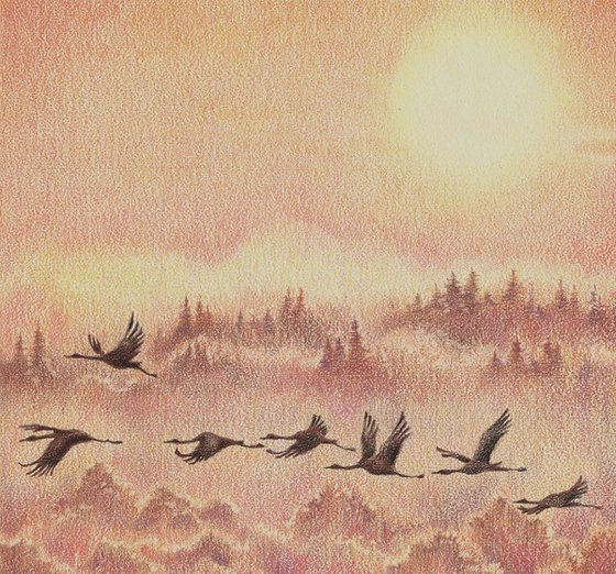 Bird migration. Sunrise.
