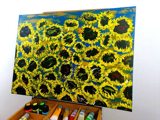 Blooming sunflowers 7