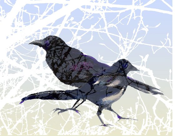 Magpie and Crow