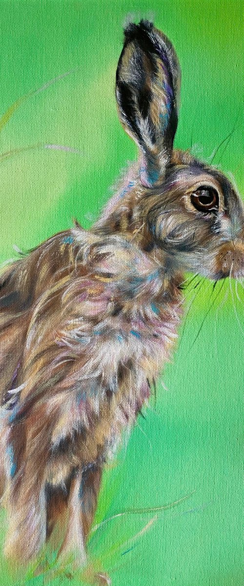 Hare Today by Carol Gillan