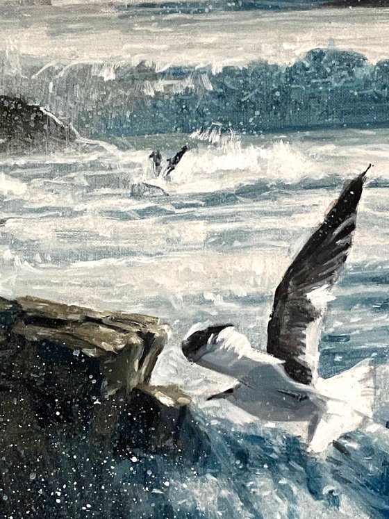 Soaring Above the Waves