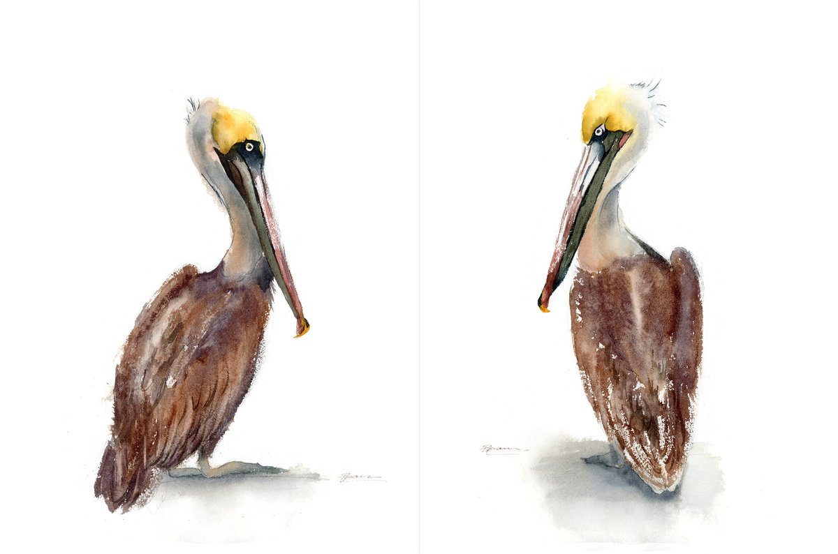 Expressive Portrait Watercolour By Olga Tchefranov (Shefranov), 22 X 15", Brown Pelicans Set Of 2, Original Artwork