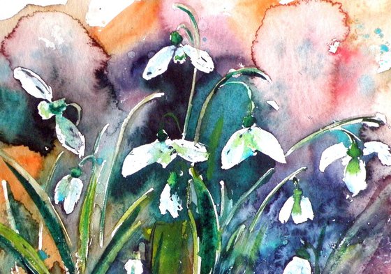 Snowdrops II