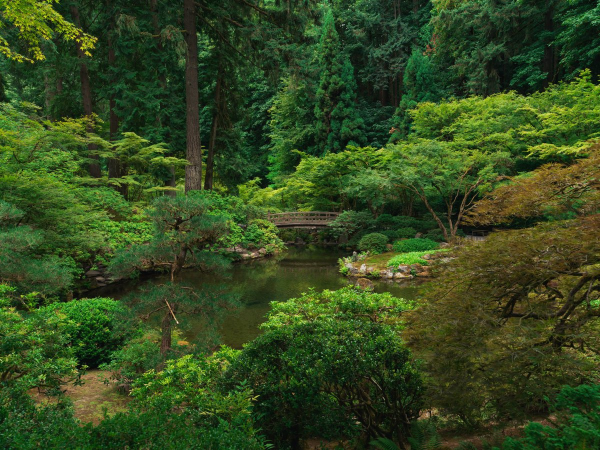 Photorealistic Landscape Photograph By Harv Greenberg, 40 X 30, Moon Bridge, Original Artwork