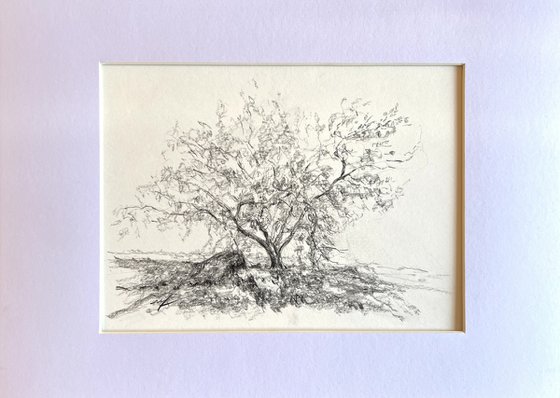 The Tree of Four Seasons