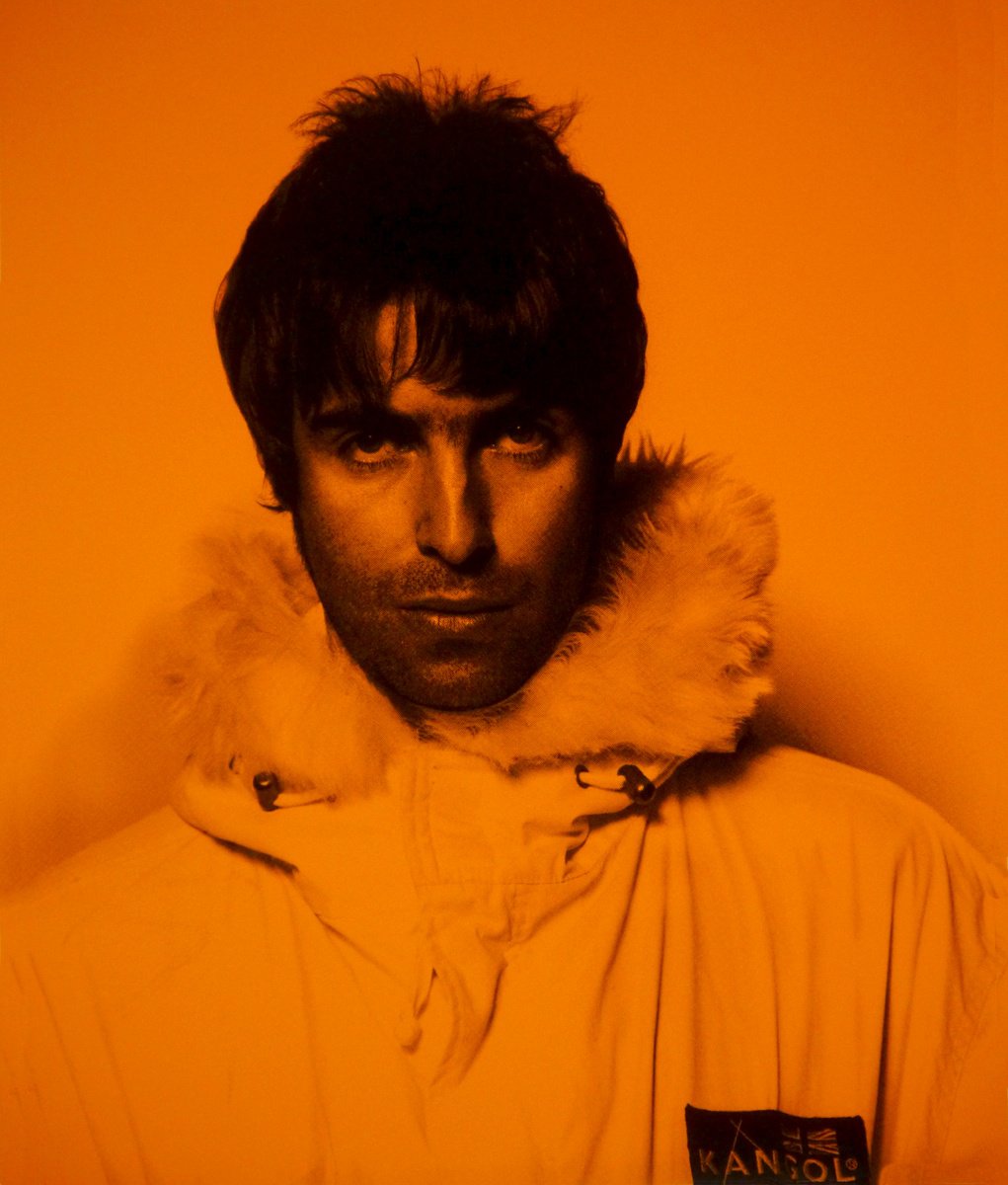 Urban And Pop Portrait Screenprint By David Studwell, 23 X 28, Liam Gallagher-Orange, Original Artwork