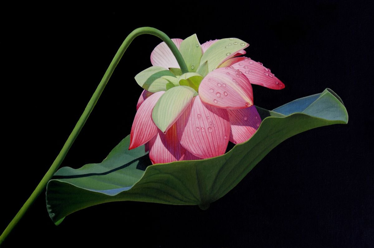 Photorealistic Botanical Oil Painting By Dietrich Moravec, 24 X 16, Geborgenheit (Safety), Original Artwork