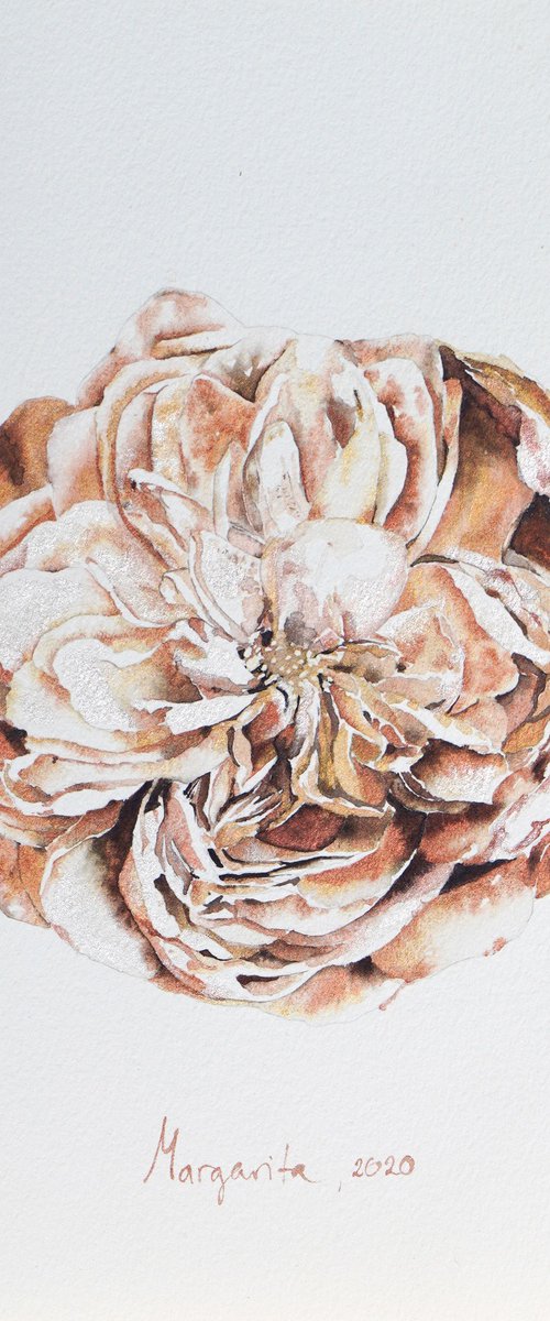 Blüte by Margarita Fischer