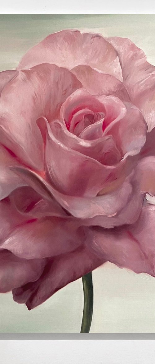 Rose 1 by Rosi Roys