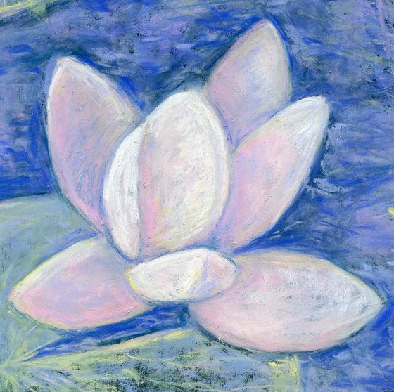 Soft pastel white water lily