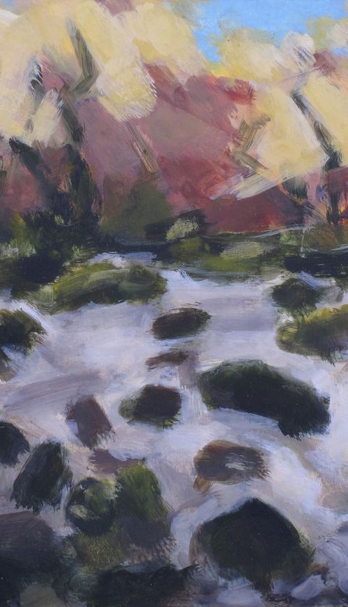 Dartmoor - River Dart No2 by Hugo Lines