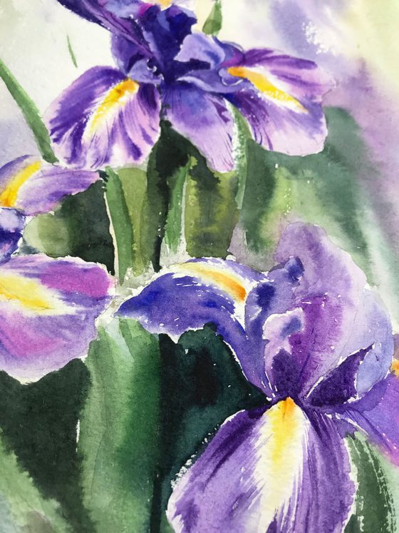 Irises