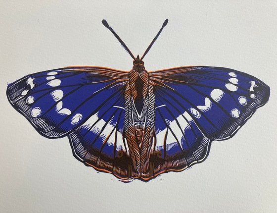 Purple Emperor