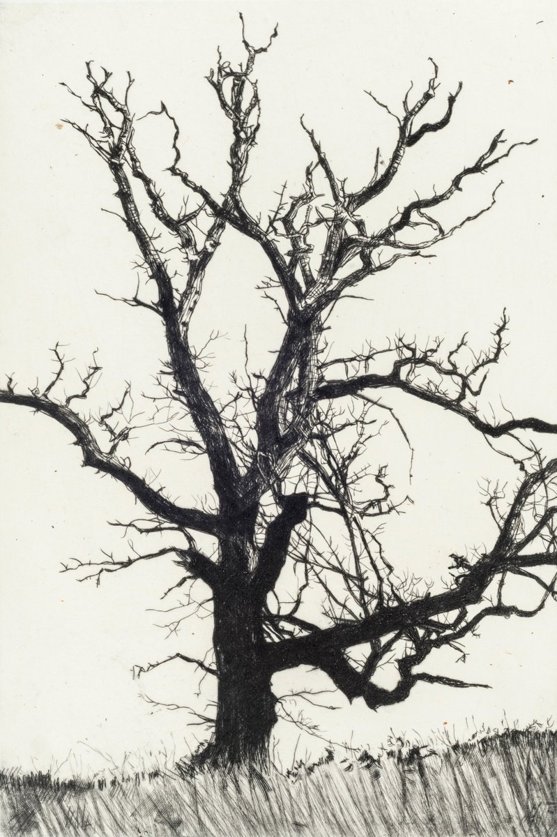 Impressionistic Landscape Etchings & Engravings By Fiona Hamilton, 13 X 17, Winter Abscission, Original Artwork