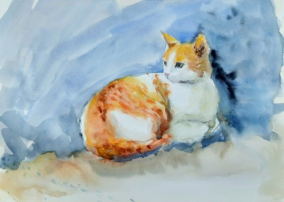 Orange Tabby Cat Shambhavi