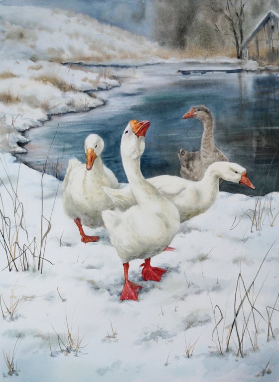 Gaggle of Geese  - Geese by the winter river -  Geese in the Snow - Christmas gift