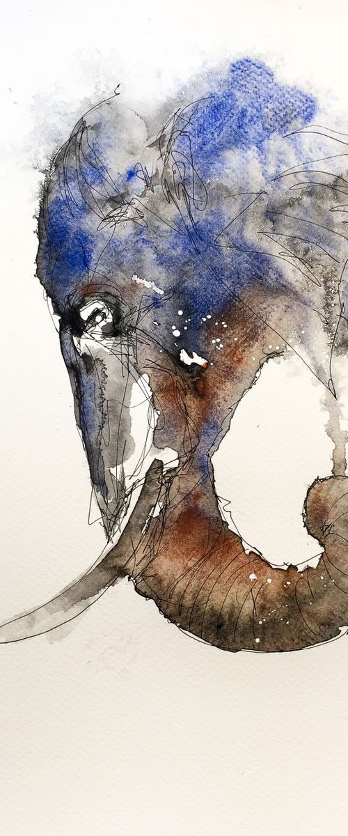 Give me an elephant by Victor de Melo