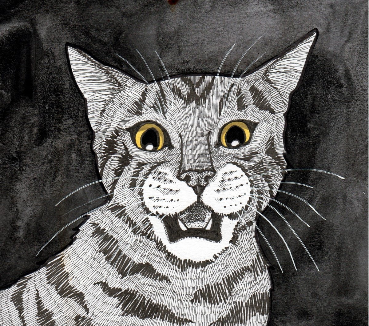 Illustrative Animal Ink Drawing By Terri Smith, 12 X 11", Scaredy Cat, Original Artwork