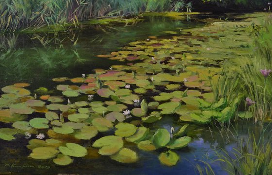 Lilies at noon