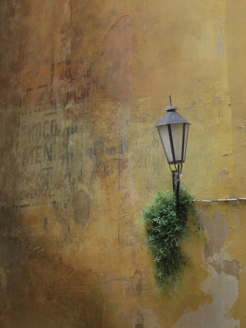 Street Lamp by oconnart