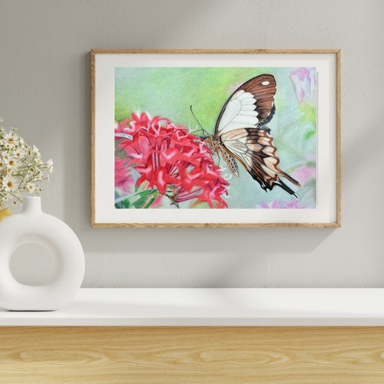 Butterfly - Sign of resurrection