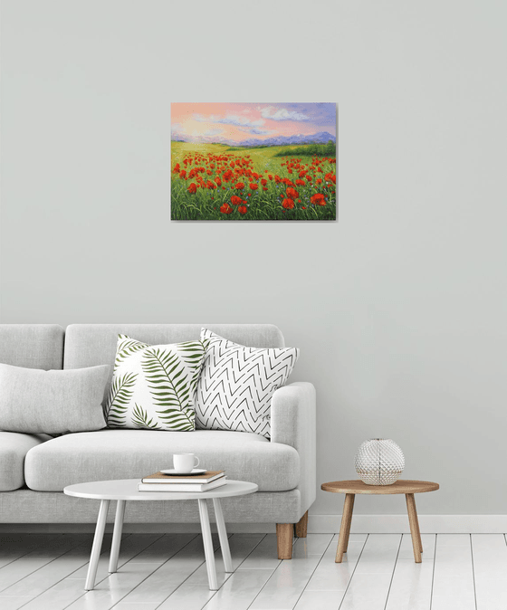 Poppy field in summer 4