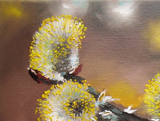 Soft Pussy Willow Branch