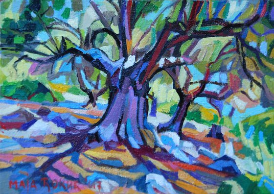 Olive tree 3  / 16.3  x 11.5  cm