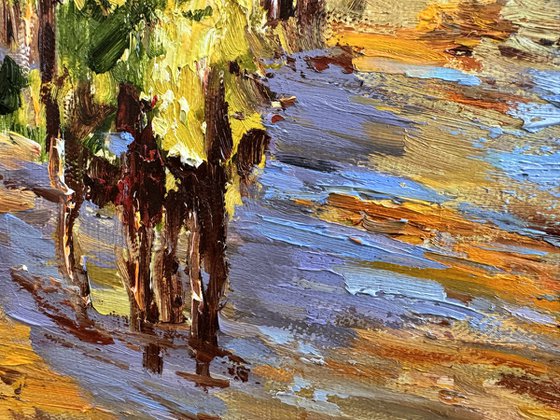 Vignes sous le soleil