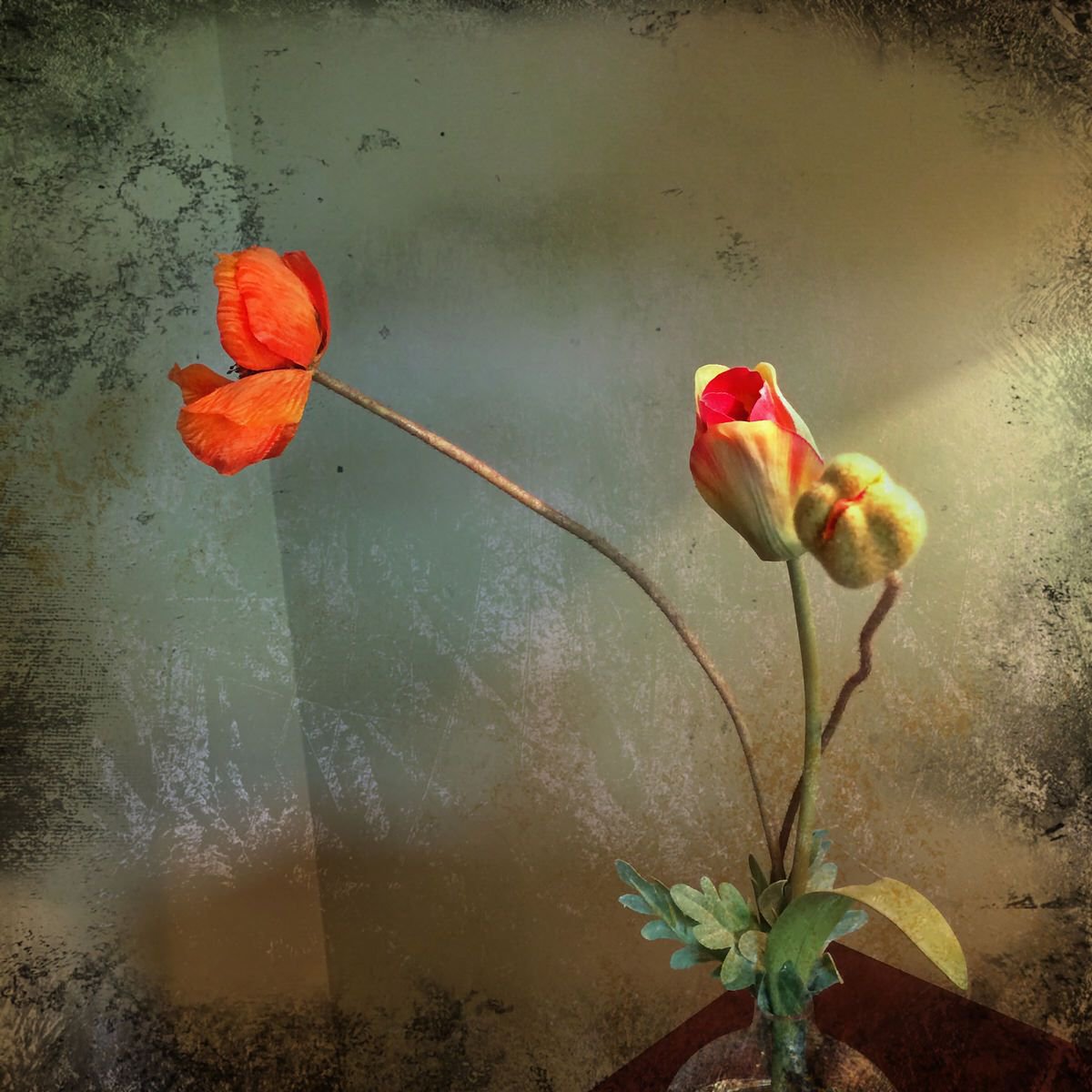 Floral Plastanium by Greg Dyro
