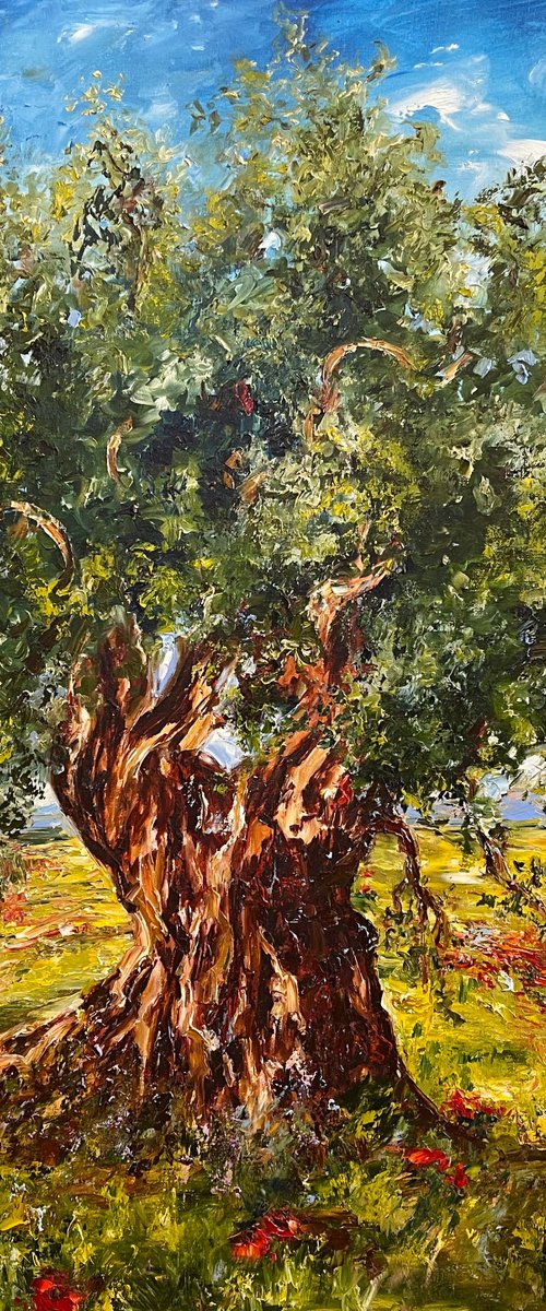 Olive Tree by Diana Malivani