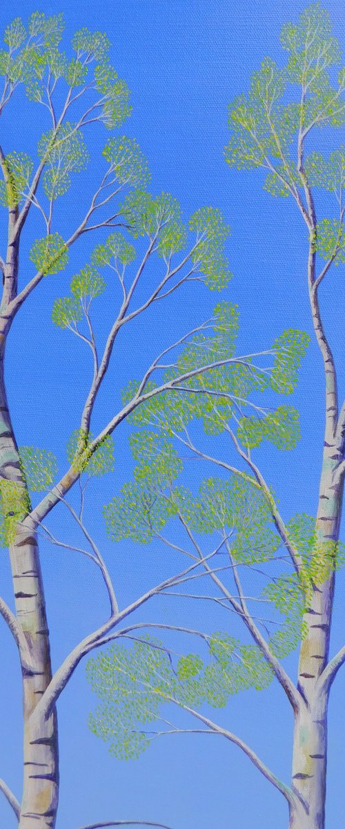 Silver Birch Trees in Spring by Ruth Cowell